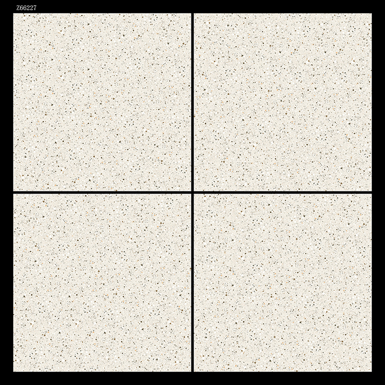 Z66227-1.jpg