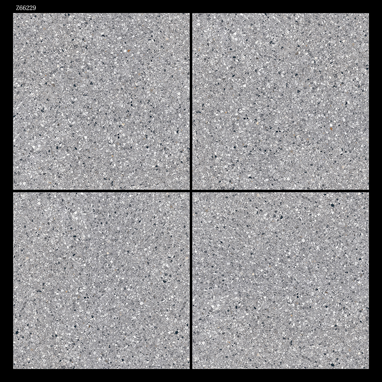 Z66229-1.jpg