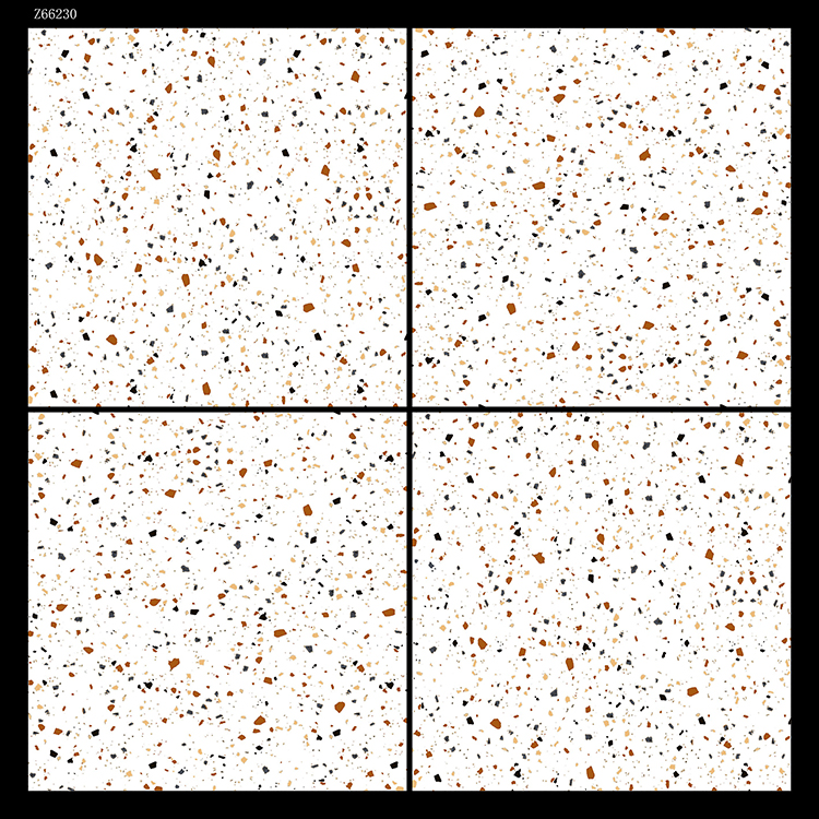 Z66230-1.jpg